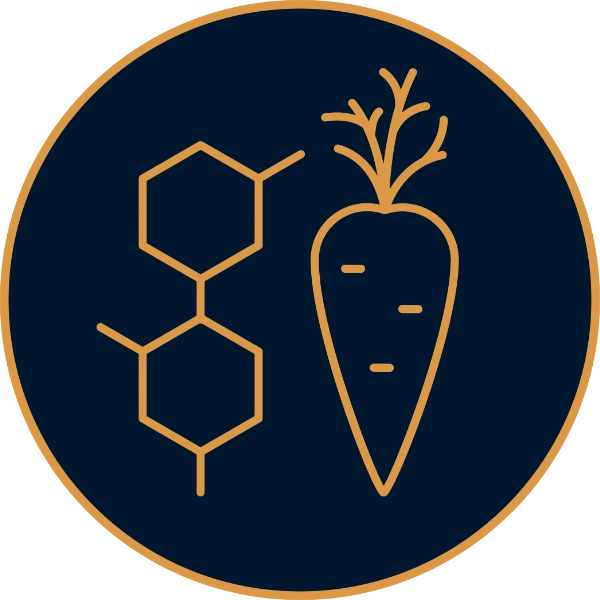 Herzultraschall & Gefäßdiagnostik